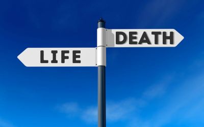 Illustration of a sign pointing to life to the left and death to the right. This is to accompany the article “I Have Set Before You Life and Death.”